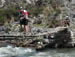 reedbridge